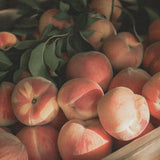 Toothpaste Tablets - Peach